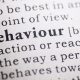 A Fatal Attraction: The Case Against Behaviour-based Safety Approaches