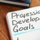 Professional Development - 5 Reasons Why Professional Development is Essential